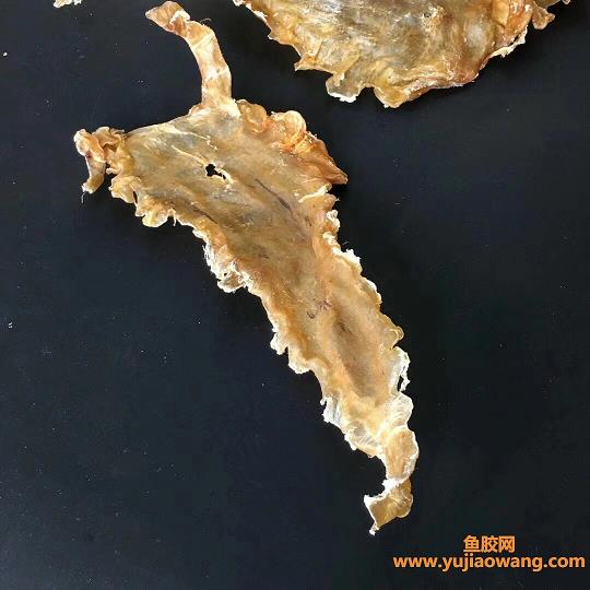 鱈魚膠是花膠中差的嗎